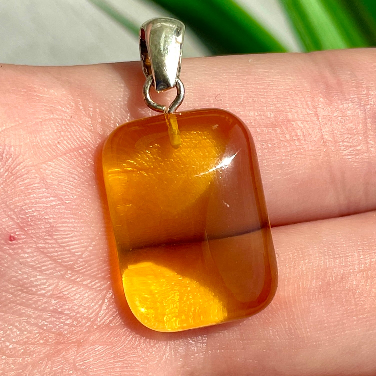 Amber Pendant - Style F Amber Pendant - Style F